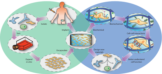 DeForest lab research