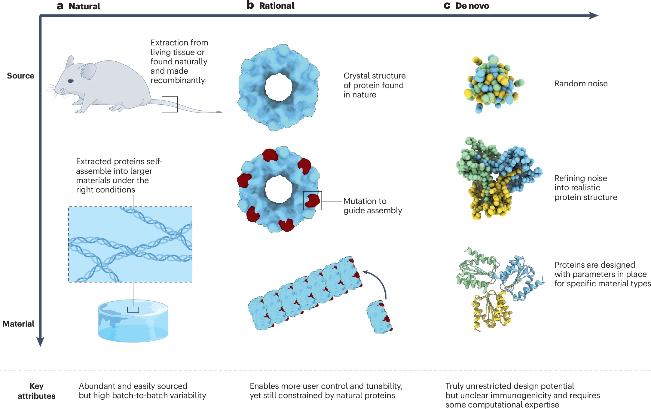 Engineering Complexity into Protein-based Biomaterials for Biomedical Applications